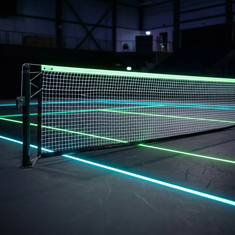 Metro Indoor Pickleball Court 1